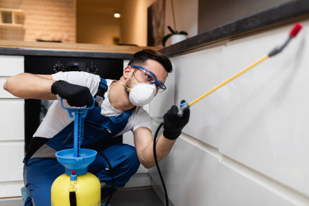Best Pest Prevention Services  in East Brady, PA