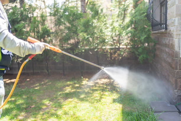 Best Insect Control  in East Brady, PA