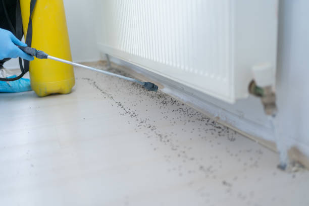 Best Mosquito Control Services  in East Brady, PA