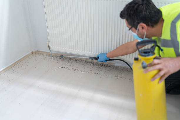 Best Pest Control for Businesses  in East Brady, PA