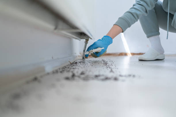Trusted East Brady, PA Pest Control Experts